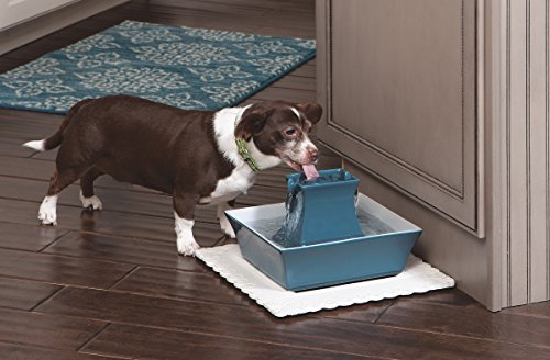 PetSafe Drinkwell Pagoda Fountain - Hygienic Ceramic Continuous Flowing Fountain - Elevated Upper Bowl & Double Free-Falli...