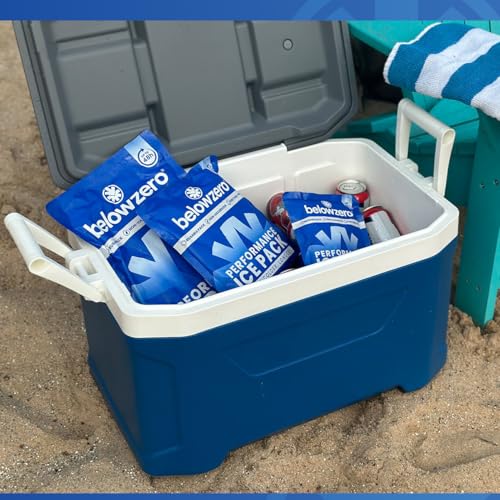 Below Zero Prefilled Reusable Ice Packs for Coolers | Long Lasting Freezer Ice Blocks for Camping, Lunch Bags & More | 48 ...