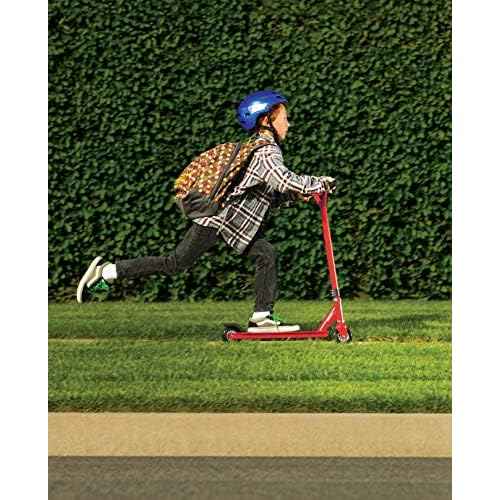 Razor Beast Kick Scooter