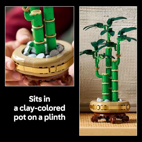 LEGO Botanicals Lucky Bamboo Building Set - Artificial Plant for Indoor Home Décor, Adults Ages 18+ - Gift for Valentines ...