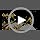 Sppry Women Tiara with Comb - Pearl Crystal Crown for Bridal Queen Princess Girls at Wedding Birthday Pageant (Gold)