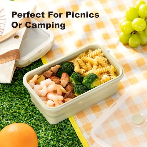 CUISITOOL Large Collapsible Food Containers with Lids, Collapsible Bowls For Camping, Save Space, Leak-Proof Silicone Stor...