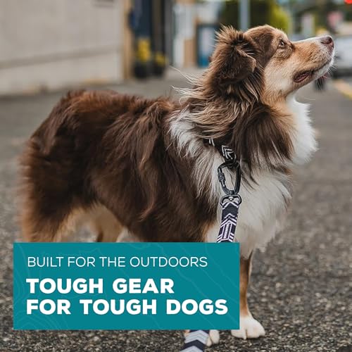 Wilderdog Ultralight Collar Series for Dogs - Medium - Playa