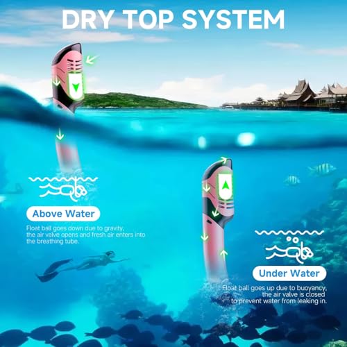 Snorkeling Gear for Adults, Dry-Top Snorkel Set Scuba Diving mask, 180°Panoramic Wide View Professional Snorkeling Gear Br...