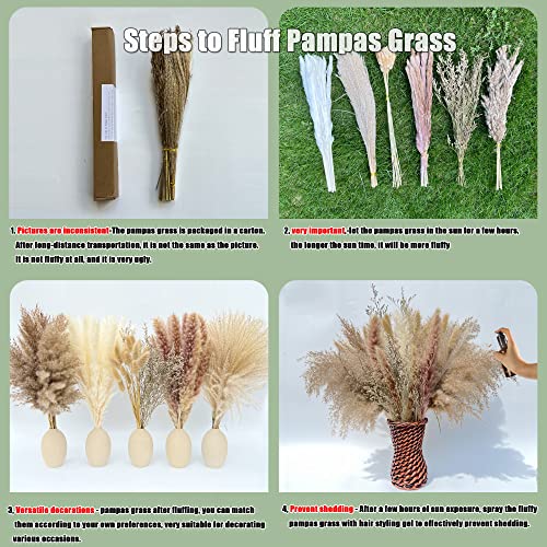 100Pcs Pampas Grass Boho Home Decor 17 inch Natural Dried Flowers-Pampas Grass Contains Bunny Tails White Pampas Brown Pam...