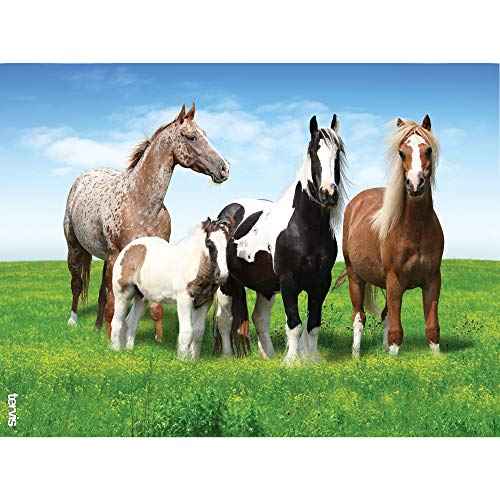 Tervis Horses Made in USA Double Walled Insulated Tumbler Travel Cup Keeps Drinks Cold & Hot, 24oz, Clear