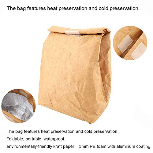 Aqur2020 Premium Kraft Paper PE Foam Insulated Lunch Storage Bag Light Weight Outdoor Picnic Bag for Party and Camping(Brown)