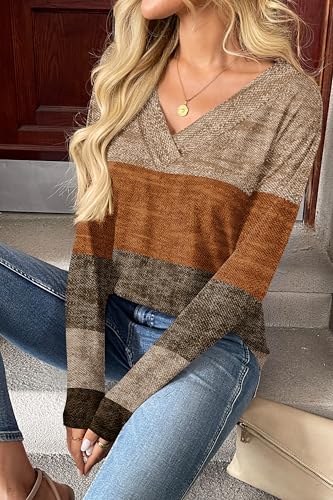 Zeagoo Women Long Sleeve Tops Dressy Casual V Neck Tshirts Basics Tee 2025 Fall Trendy Clothes S-2XL