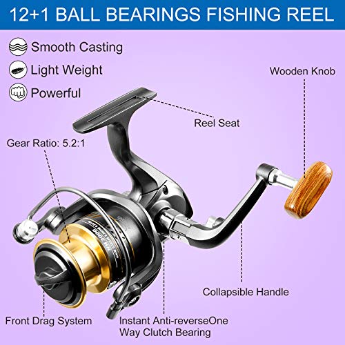 Castaroud Carbon Fiber Fishing Rod and Reel Combos, Portable Telescopic Fishing Pole with Spinning Reel, Travel Bag for Sa...