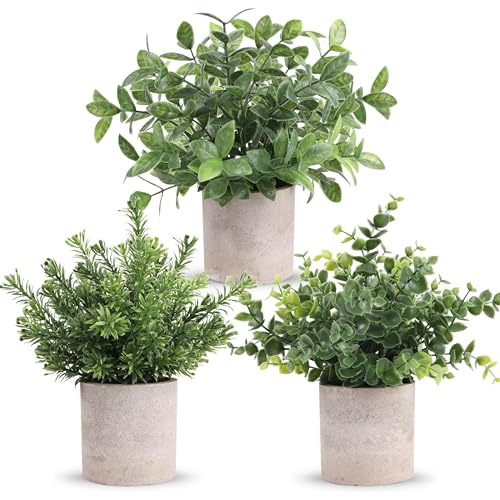 Der Rose 3 Pack Mini Potted Fake Plants Artificial Plastic Eucalyptus Plants Centerpieces for Table Home Office Desk Acces...
