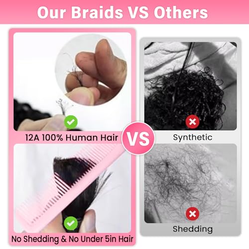 WOWANGEL Human Braiding Hair For Boho Braids 100g,100% Unprocessed Brazilian Virgin Hair, 12A Deep Wave Knotless Bohemian Bundles, Curly Hair Extensions,2 Bundles,Auburn Brown(30),24 Inch