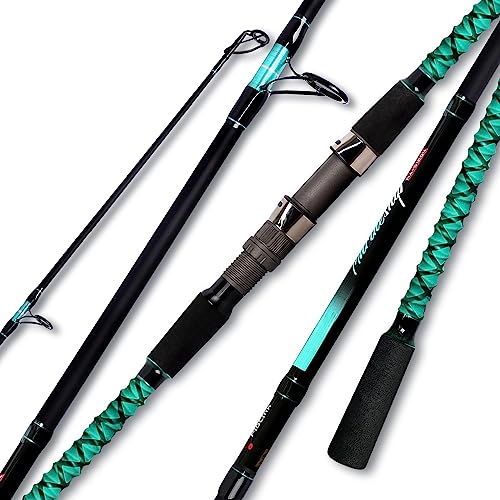 Fiblink Surf Fishing Rod Portable Travel Surf Spinning Rod 2 Piece/3 Piece/4 Piece Carbon Fiber Saltwater Fishing Rod 9'/1...