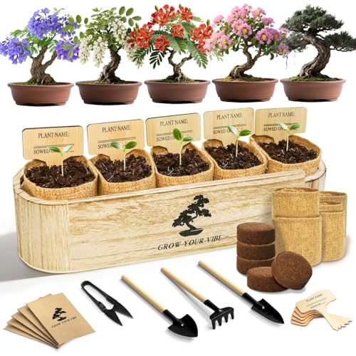 LUOJIBIE Bonsai Tree Kit for Beginners - Unique DIY Japanese Bonsai Trees,Crafts for Adults, Ideal Gardening Birthday Gift...