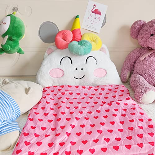 Nalexmi Sleeping Bag for Kids, Preschool Nap Mat, Toddler Sleeping Bag with Pillow for Daycare, Ages 3+, Large Size