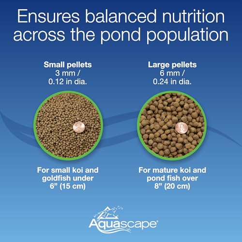 Aquascape Premium Cold Water Fish Food Pellets for Large Koi and Pond Fish, Large Pellet, 4.4 Pounds | 98872