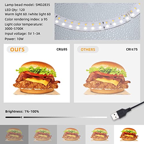 Lightdow 12"x12"x12" Photo Studio Light Box Photography with Desktop Tripod & 120 LEDs (CRI>95), 6 Backdrops - Portable/Di...