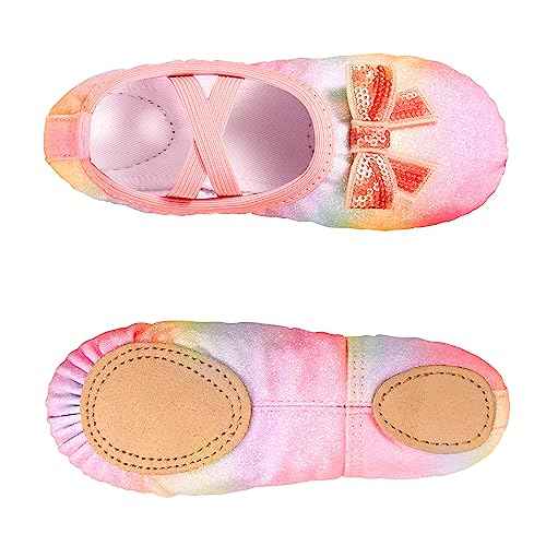 Arshiner Ballet Shoes for Girls Canvas Ballet Slippers Dance Shoes with Elastic Band for Toddler/Little Kid/Big Kid