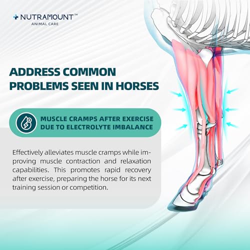 Nutramount Equine Electrolytes Supplement with Apple Flavor, Replenish Lost Minerals & Support Hydration for Horses During...
