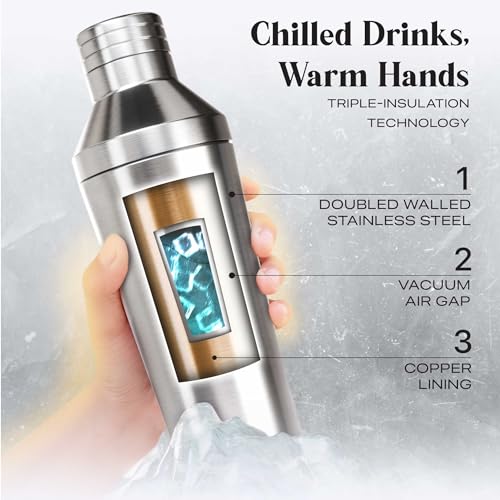 Insulated Cocktail Shaker Set | Double Wall Stainless Steel | Martini Shaker for Home Bar Bartending | Built-in Drink Meas...