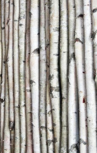 Wilson Decorative Birch Poles 8ft (3 Poles 1 1/2"-2 1/2" Dia.)