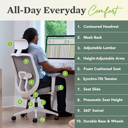 HON Altern Ergonomic Office Chair with Headrest, Arms, Wheels, Foam Cushion Seat, Mid Back Home Office Desk Chair Comfy, G...