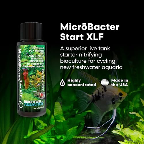 Brightwell Aquatics MicroBacter Start XLF - Concentrated Freshwater Nitrifying Bacteria - Quick Start Fish Tank Starter, L...