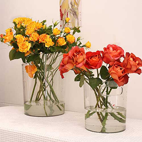 Dicunoy 6 Pack Ice Bucket, Plastic Champagne Wine Chiller Bucket for Parties, Clear Acrylic Cylinder Flower Vase with Hand...