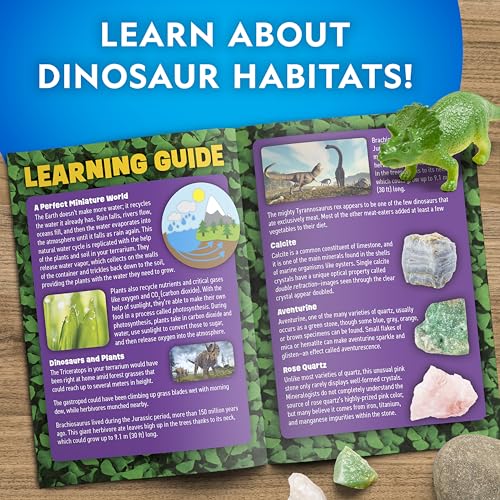 National Geographic Dinosaur Terrarium Kit for Kids – Multicolor Light-Up Terrarium, Build a Dino Habitat with Real Plants...