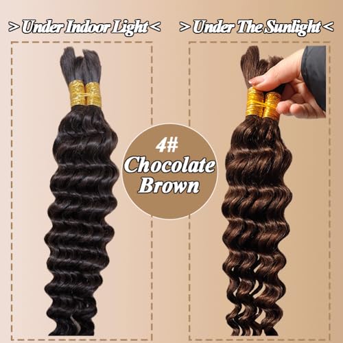 Human Braiding Hair For Braids 24 Inch 100g/2Bundles Deep Wave Bulk Human Hair For Braiding Wet And Wavy Human Hair Extensions For Braids 12A No Weft Deep Wave Bulk Human Hair Chocolate Brown