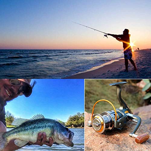 Sougayilang Spinning Fishing Reels with Left/Right Interchangeable Collapsible Wood Handle Powerful Metal Body 5.2:1/5.1:1...