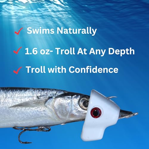 Ballyhoo Trolling Lures with Free Offshore Rig Included for Mahi Mahi Dolphin Dorado Wahoo Marlin Tuna Offshore Big Game L...