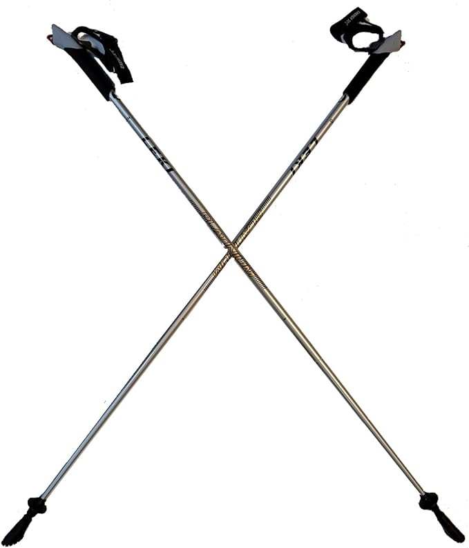 LEKI Nordic Walker Platinium Limited Edition Carbon Series 125cm Silver