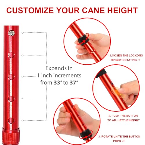Elfzone Trekking Poles - Hiking Poles for Kids,Telescopic, Collapsible, Ultralight for Hiking