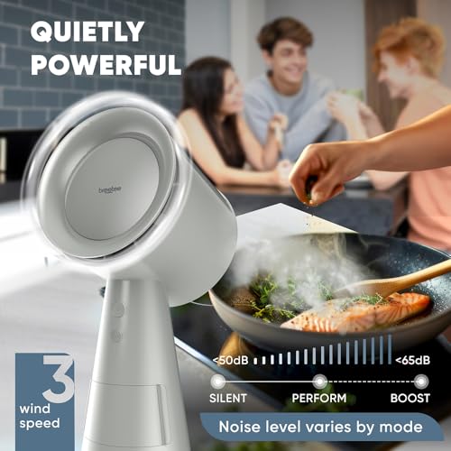 BREETEE Portable Range Hood Kitchen–5-Layer Filter Compact Desktop Exhaust Fan, Powerful 3-Speed Smoke Removal, Low Noise ...