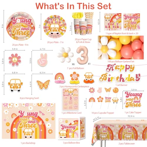 263pcs Young Wild and Three Party Decorations, Boho Groovy Daisy 3rd Birthday Decorations for Girls with Balloon Arch Tabl...