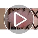 obbsie 50pcs Pink Faux Pampas Grass Decor, 21.6" Short Artificial Pompous Grass Floral Fake Pompas Grass Branches Vase Fil...