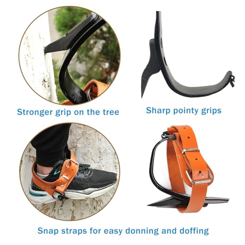 timiland Tree Climbing Spikes Set,Tree Climbing Gear，Rock Climbing Kit with Professional Accessories,Adjustable Length Des...