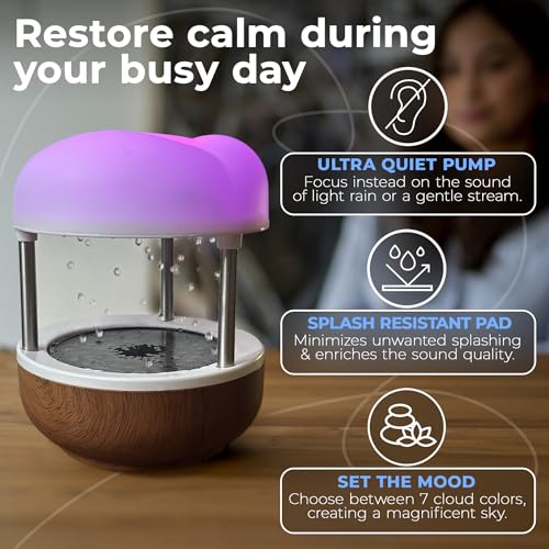 Mindsight ‘Calming Cloud’ Tabletop Water Fountain | Quiet Pump | Splash Resistant | Zen & Nature Décor | Promotes Focus, S...