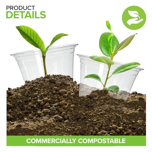Stock Your Home 9 oz Clear Commercially Compostable Cold Cups (100 Pack) PLA Disposable Party Cup for Water, Wine & Beer