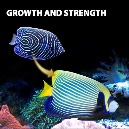 GOOD PARTNER Purify Series for Marine Fish Food, Saltwater Fish Sinking Pellets, Suitable for Clown Fish, All Natural Ingr...