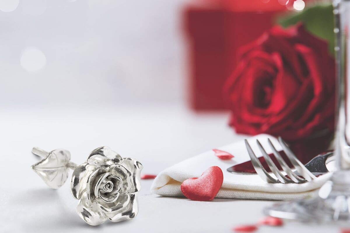 BESZONE Tin Rose 10th Anniversary for Her Gift - Tin Gift 10 Year Wedding Anniversary for Wife Couples, Solid Pure Casted Everlasting Rose Tenth Decoration Aluminum for Him