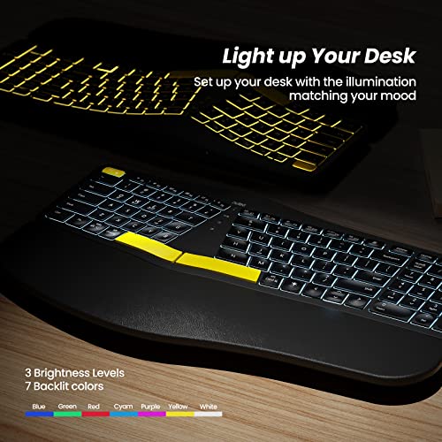 Nulea Wireless Ergonomic Keyboard, Split Keyboard with Wrist Rest, USB-C Charging, 7-Color Backlight, Natural Typing, Blue...