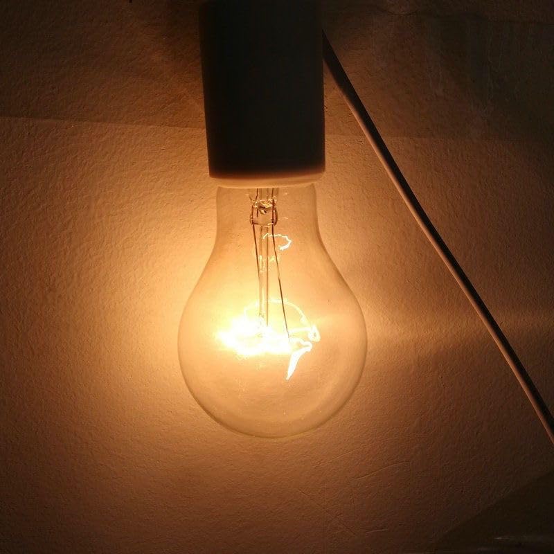 Hoimuv 75 Watt Incandescent Light Bulbs, A19 75 WATT Incandescent Bulb Shatter Resistant Rough Service Light Bulb 75 WATTS A19 Shape (4PACK)