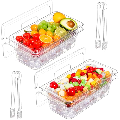 Rtteri 2 Sets Ice Chilled Serving Tray with Lid and Tongs Cold Food Buffet Server Platter for Parties Christmas Thanksgivi...