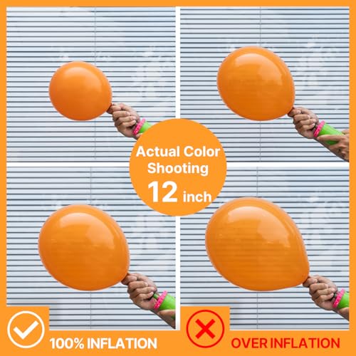 PartyWoo Orange Balloons 52pcs 12 Inch Fall Latex Helium Balloons for Birthday Baby Shower Graduation Tangerine Little Cut...