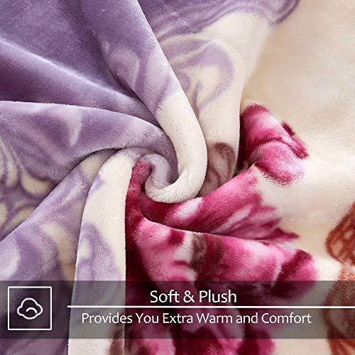 JYK Queen Size Korean Mink Blanket, 5 LB Fleece Bed Blanket - 2 Ply Reversible 520GSM Silky Soft Plush Warm Blanket for Au...