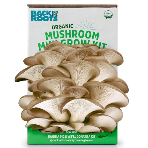 Back to the Roots Organic Mini Mushroom Grow Kit, Harvest Gourmet Oyster Mushrooms In 10 days, Top Gardening Gift, Holiday...