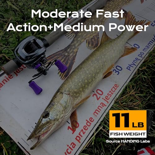 HANDING Trout Fishing Rod 6' Ultralight Fast Casting Rod+Bass Fising Rod 7' Medium Power Moderate Fast