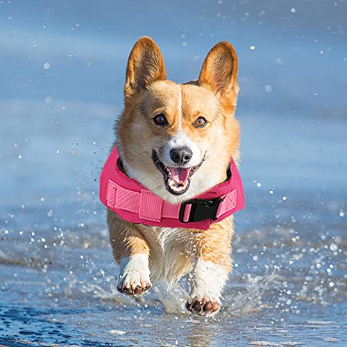 Fragralley Dog Life Jacket Shark, Dog Life Vest Adjustable Ripstop, Dog Swimming Safety Vest with Superior Buoyancy & Resc...