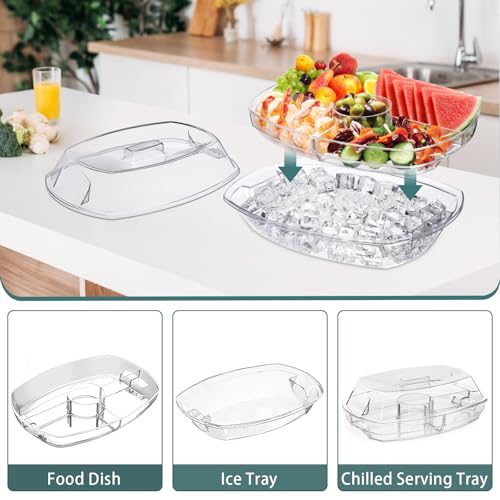 Chilled Serving Platters,Chilled Veggie Tray with Lid,Ice Serving Platters and Trays Cold Travel,Fruit Ice Serving Tray,Ap...
